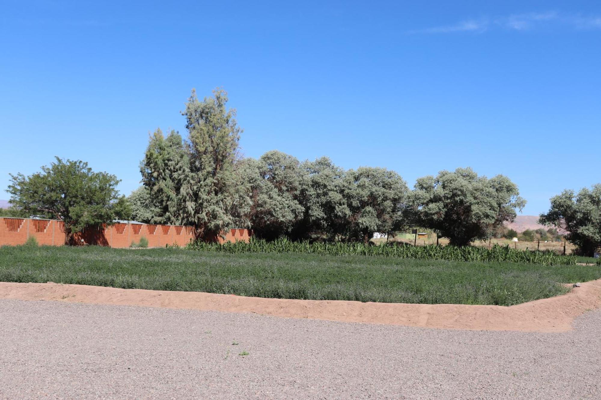Atacamatoconar Bed & Breakfast Solor Exterior foto